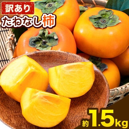 種無し柿 1.5kg | ご当地風土